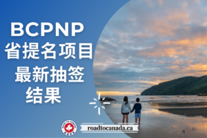 bcpnp抽签