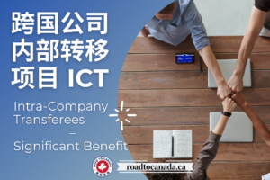 跨国公司内部转移项目ICT