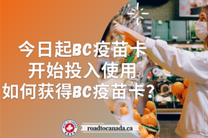 今日起BC疫苗卡开始投入使用，如何获得BC疫苗卡？