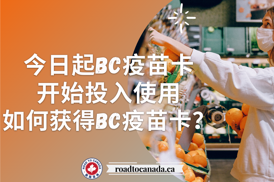 今日起BC疫苗卡开始投入使用，如何获得BC疫苗卡？