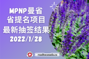 MPNP抽签结果